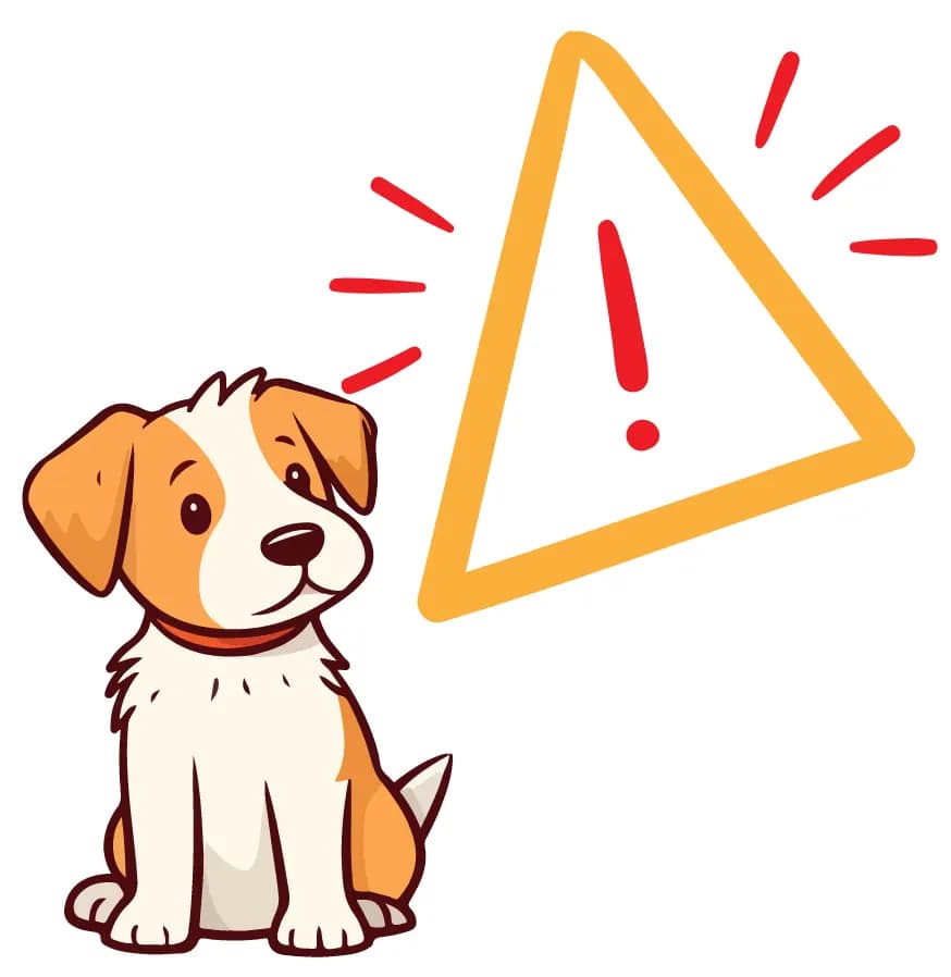 Dangerous foods for dogs