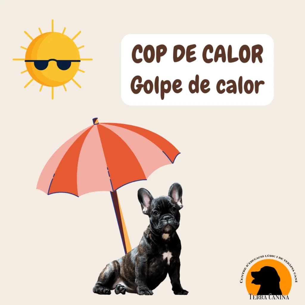 Cop de Calor!
