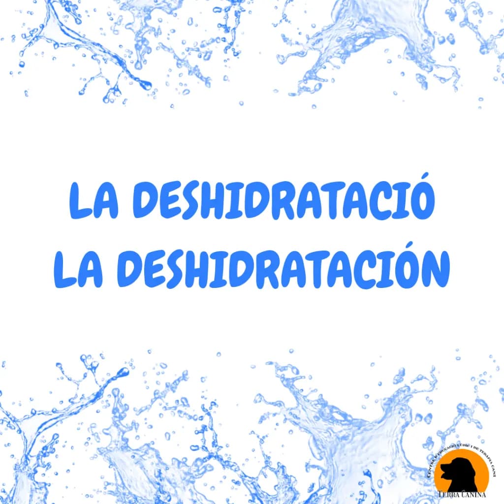Deshidratació
