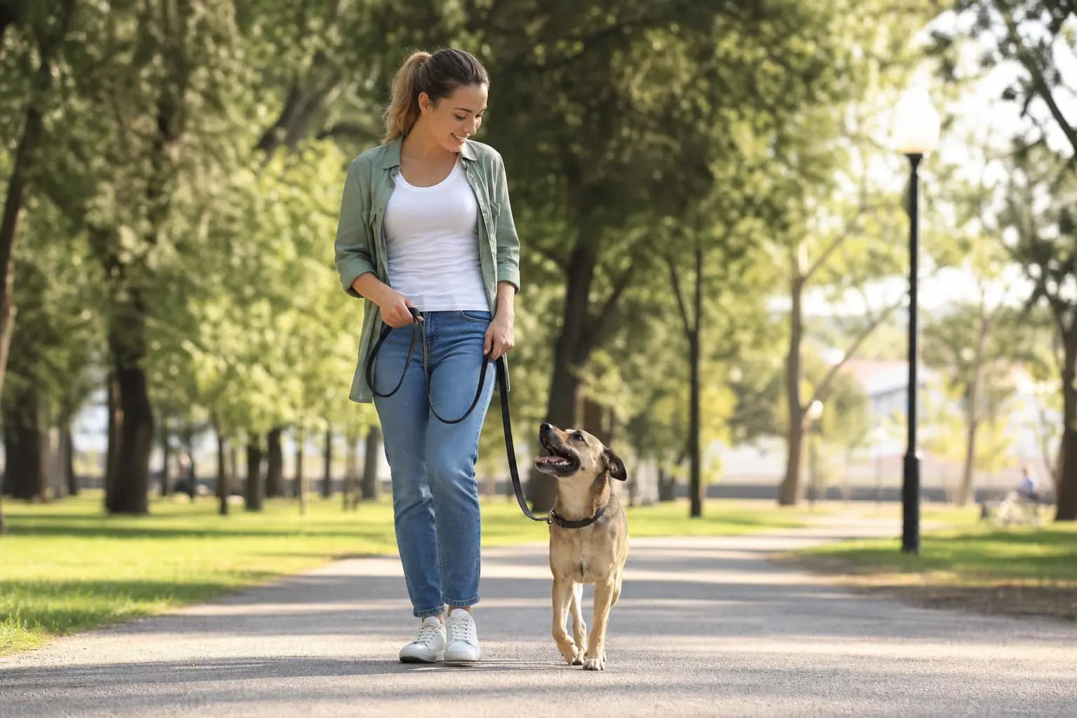 Walking without pulling on the leash