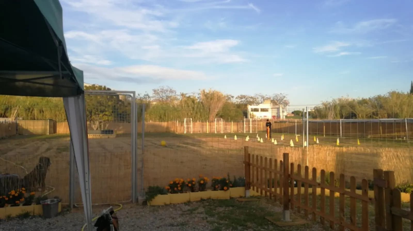 Terreny d'entrenament amb flors a Terra Canina