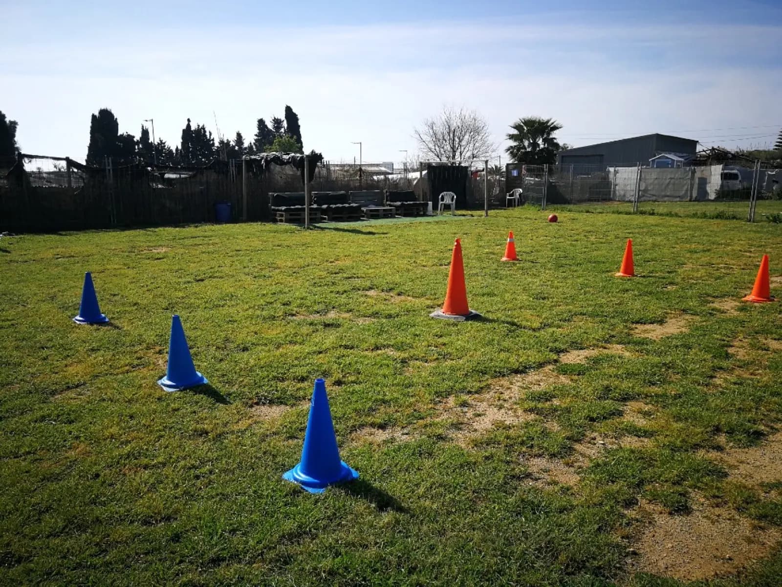 Classes amb cons d'entrenament al camp