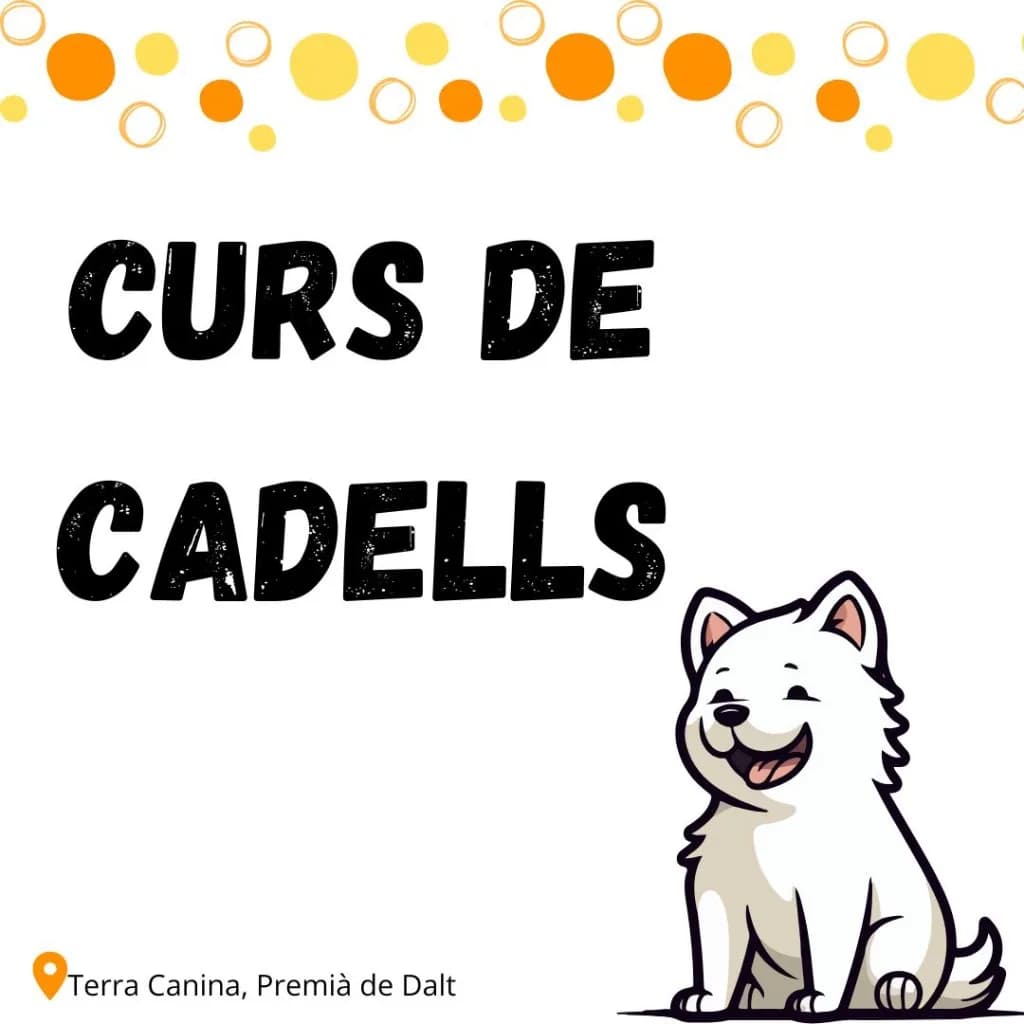 Curs de cadells