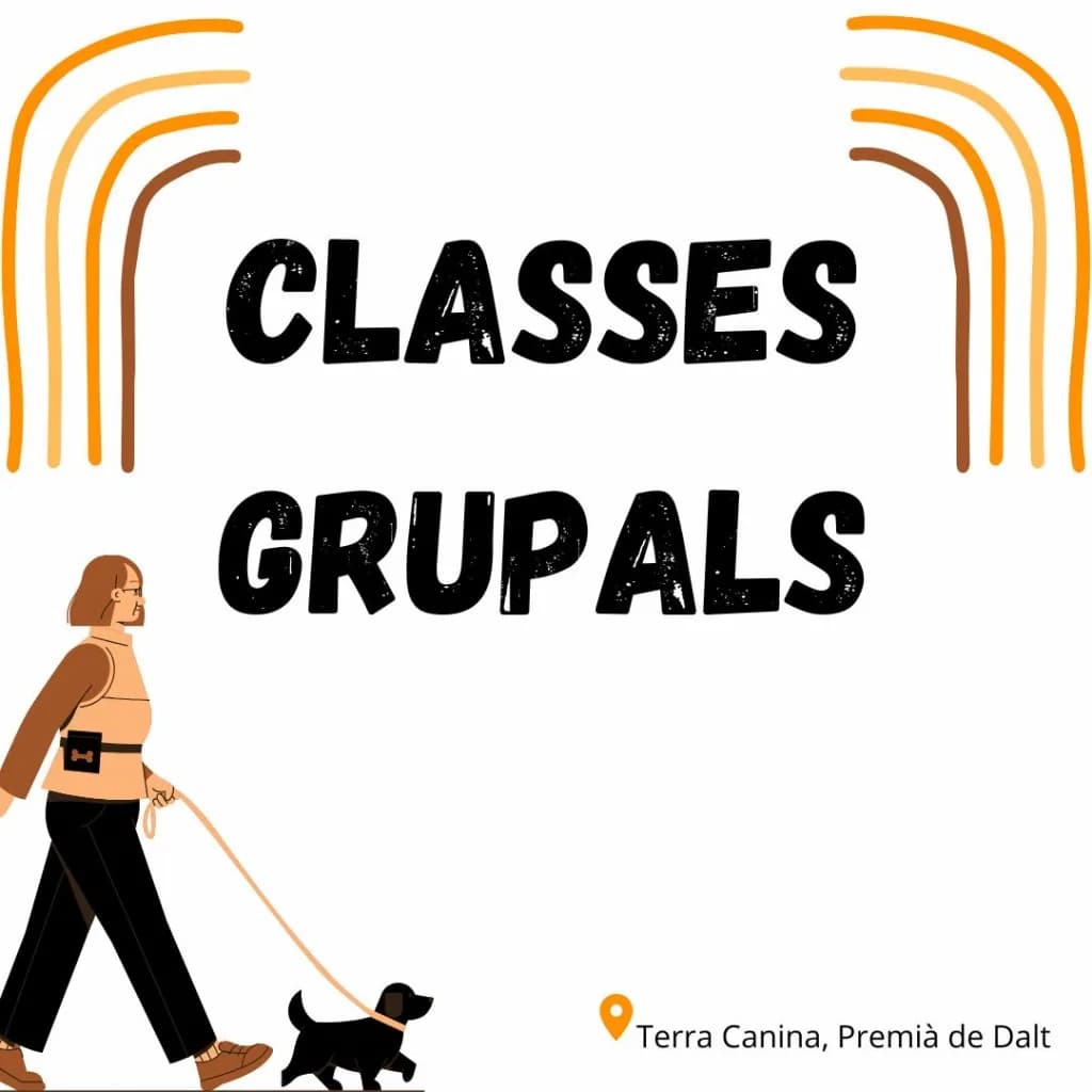 Classes grupals