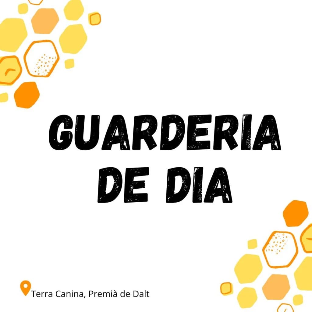 Guarderia de dia