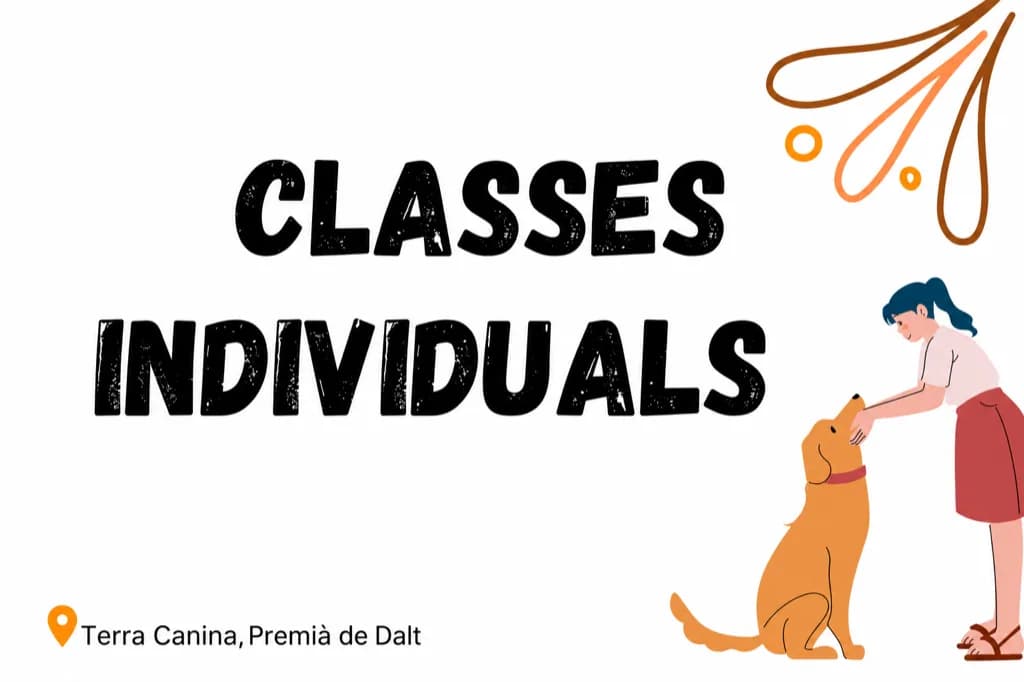 Classes individuals