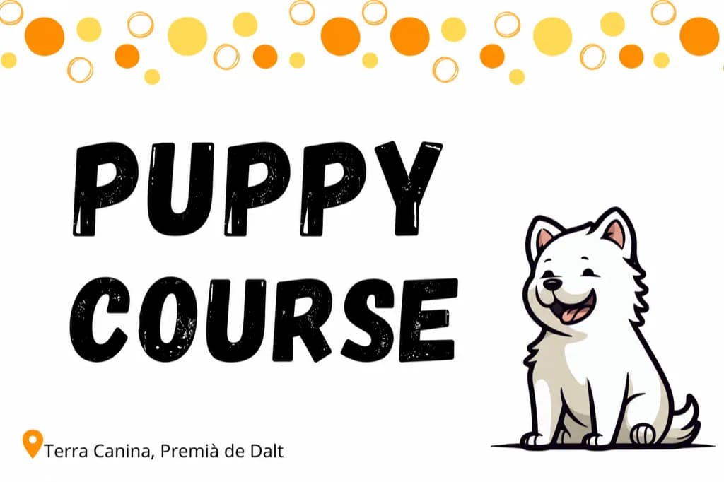Puppy course