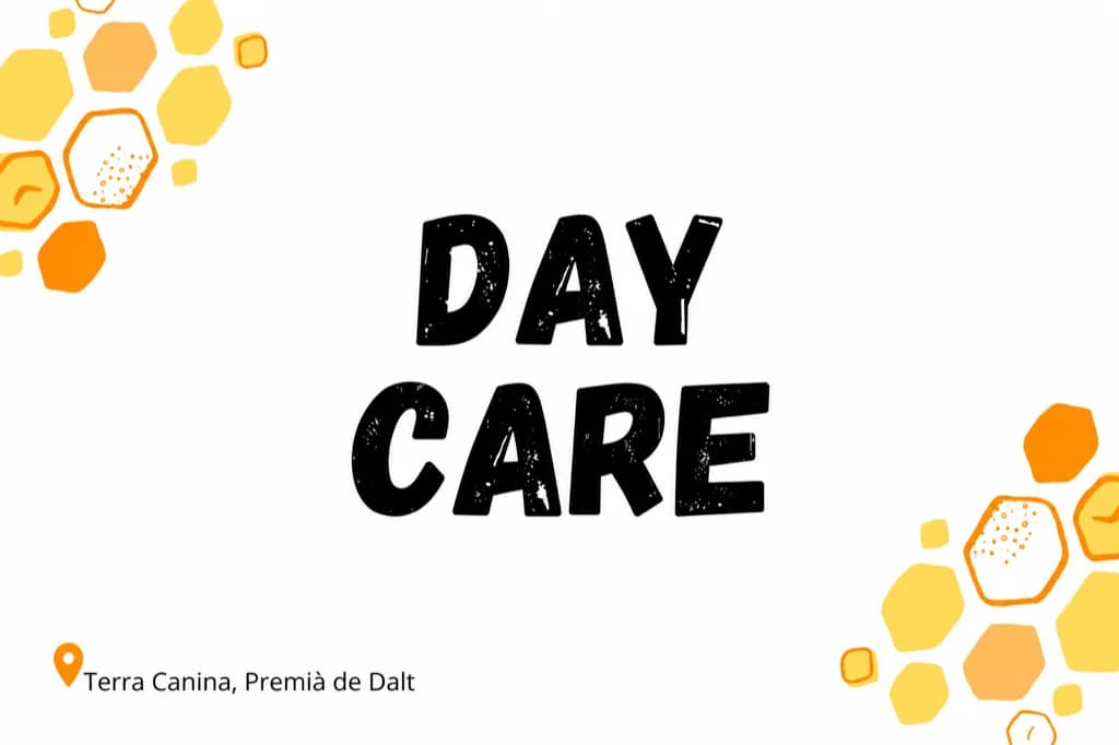 Day care