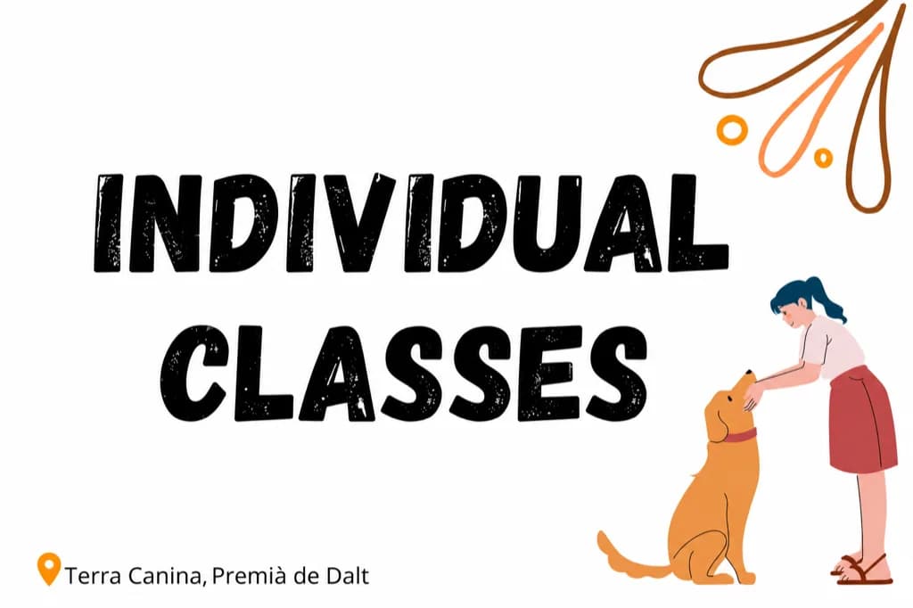Individual classes