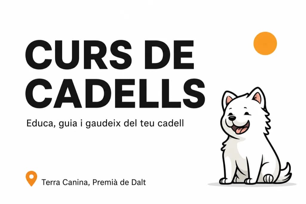 Curso de cachorro