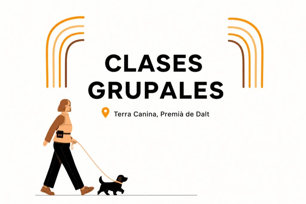 Clases grupales