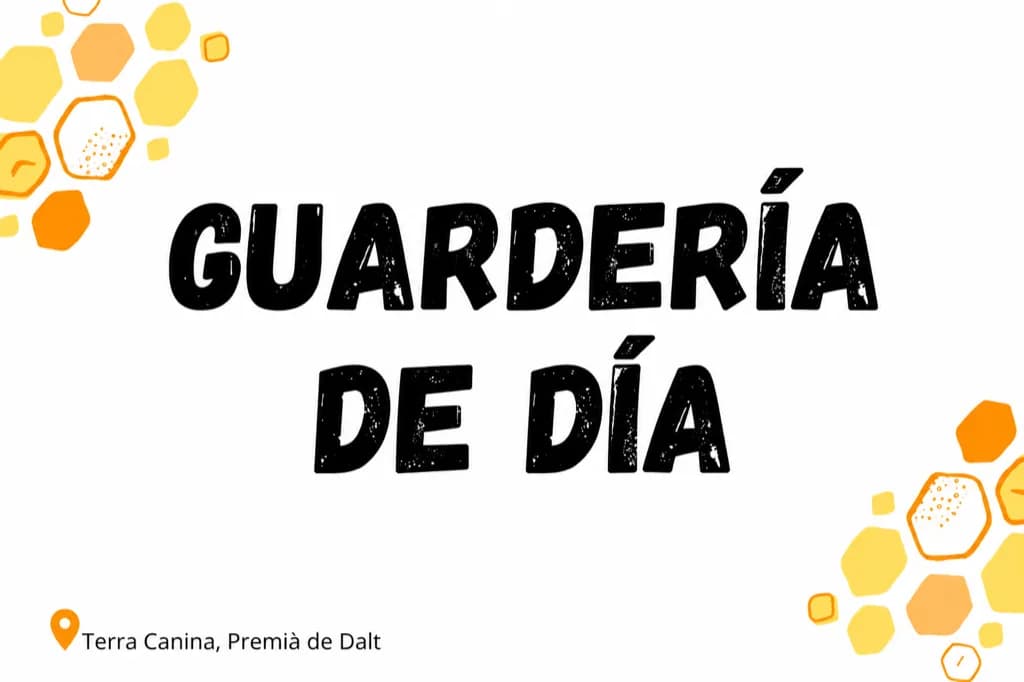 Guardería de día