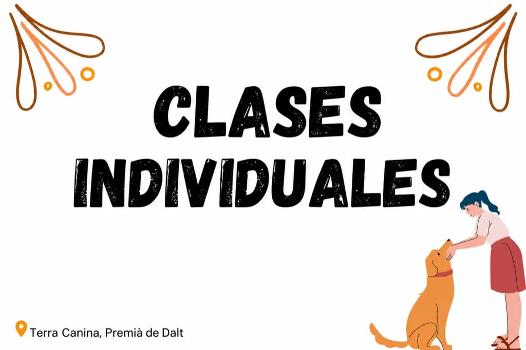Clases individuales