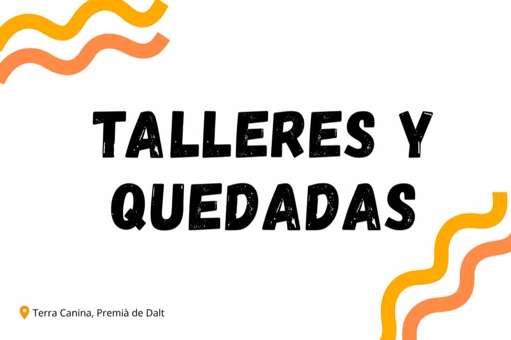 Talleres y eventos