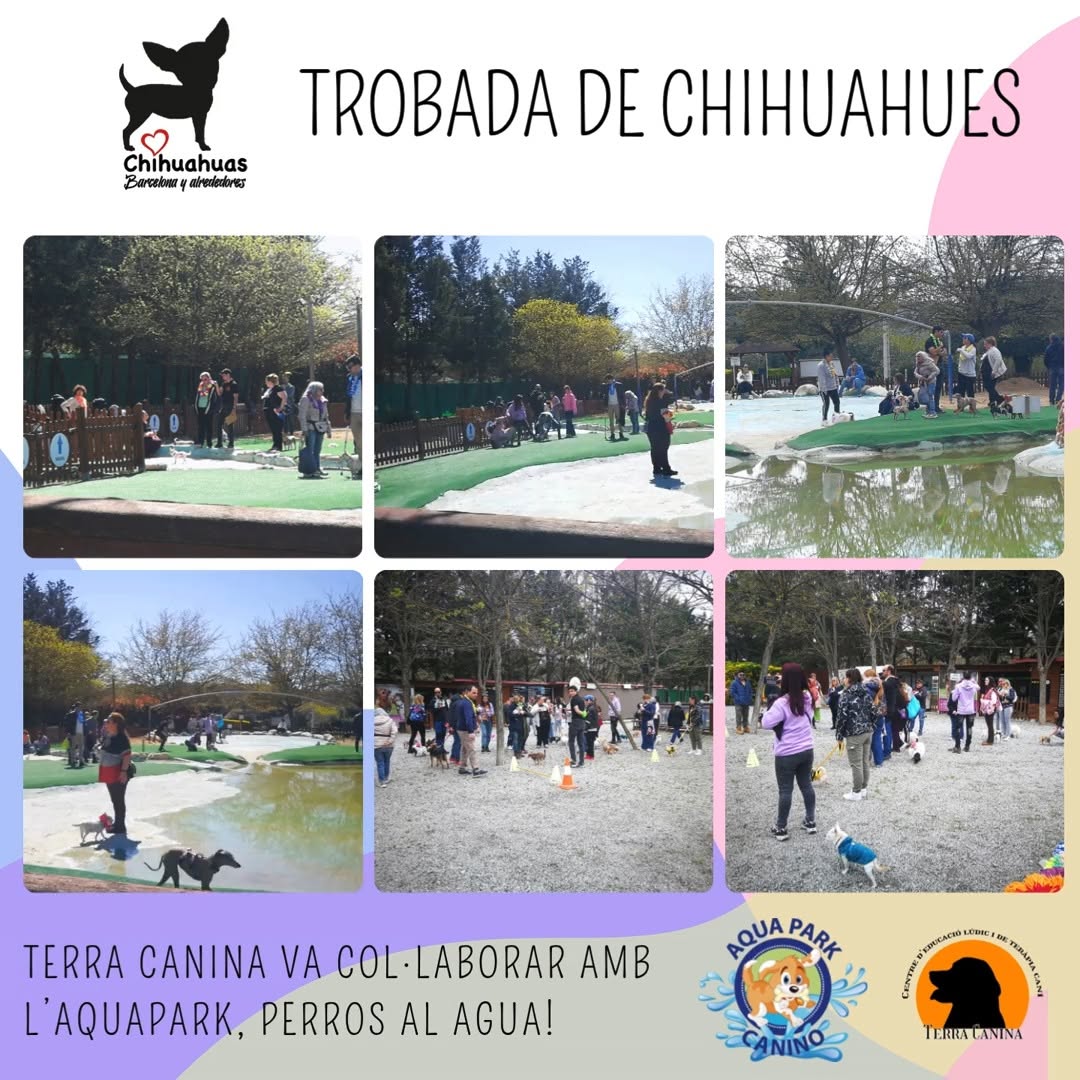 Terra Canina Instagram 2